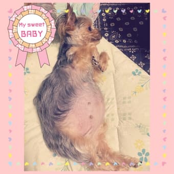 お腹パンパン