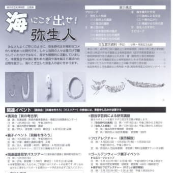海と弥生人