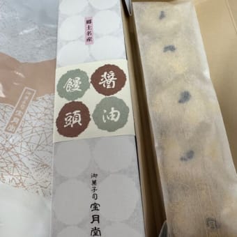 今日の桜・・満開