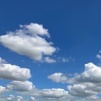 夏空と秋風同居中