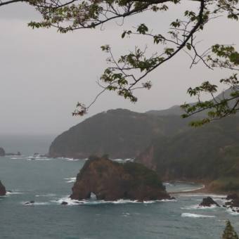 雨の天草西海岸　富岡城跡散策