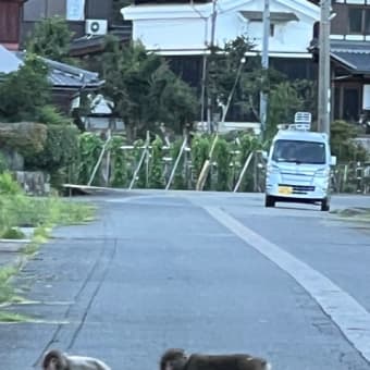 琵琶湖旅　再び