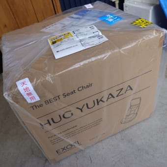 座椅子の購入