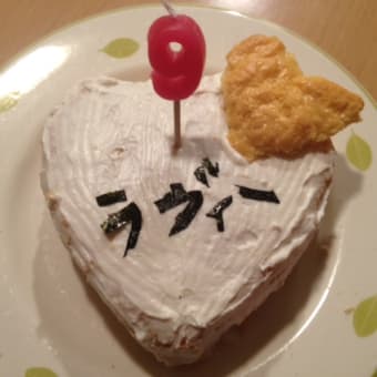 ラヴィのお誕生日