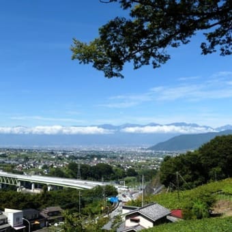 #9375 ぶどう寺('23 Reやまなし酷残暑_3)