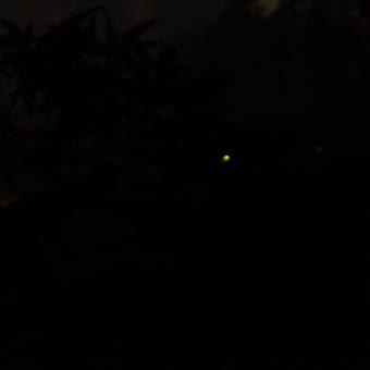 2017年6月30日　金曜日　「椿山荘」ほたるの夕べ
