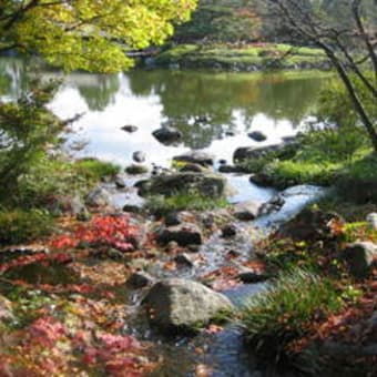 東京の紅葉を求めて国営昭和記念公園へ