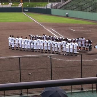 高校野球観戦。。。