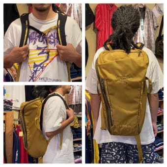 【入荷情報】めちゃ入るアークのミウラさん！