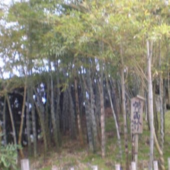 土寄せ