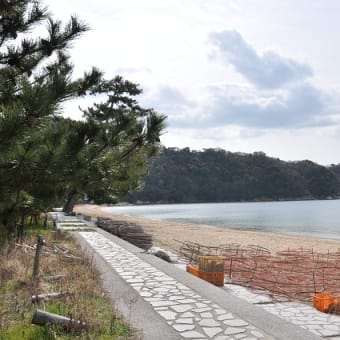 桂浜（桂が浜）