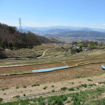 上田市の稲倉棚田は絶景です！