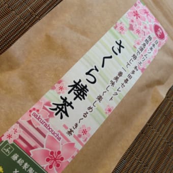 茶茶の間で入門集中講座