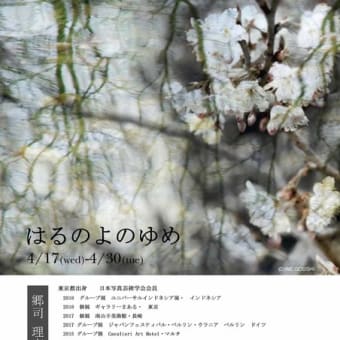 写真展　はるのよのゆめ　郷司理恵　4/17-4/30