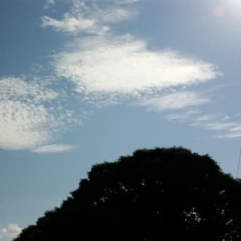 夏雲に誘われて