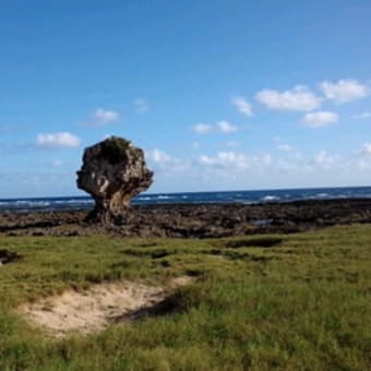 沖縄の旅