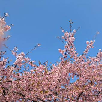 今日いち-2025年3月22日