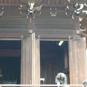 2011年4月24日(日)　仁和寺