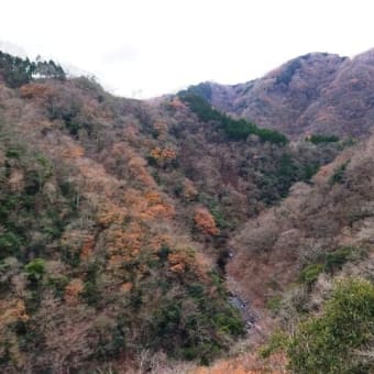 ラストラン