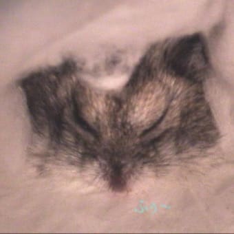 「空気に触れづらいので」って？