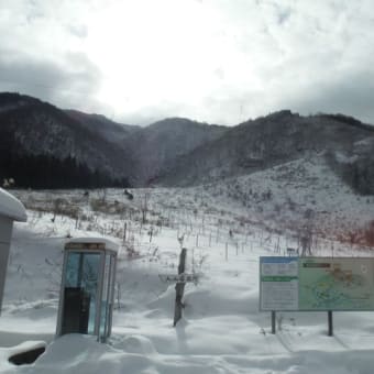 大晦日は荒島岳で激藪スキー