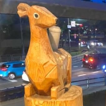初夏の頃、春日大社