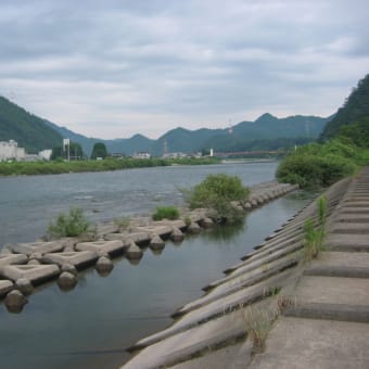 今日の長良川。。