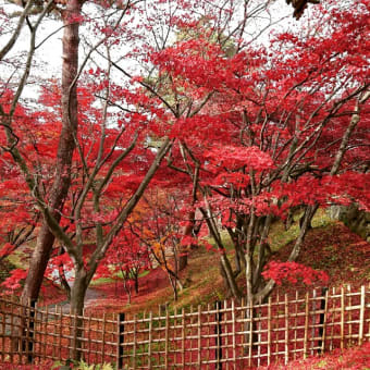 帯広～弘前の写真