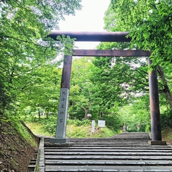 オオウバユリと札幌バンクシーさんと今週も元気なリスたちと。～円山公園＆北海道神宮～