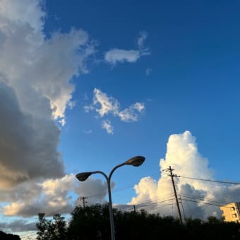 秋めいて来たなぁ