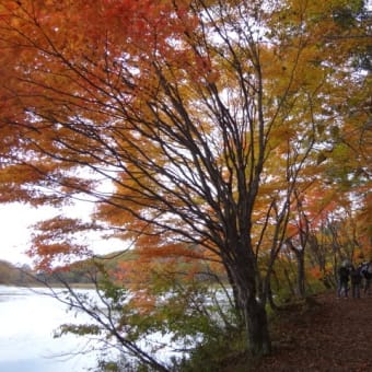 紅葉なら観音沼。（福島県白河市下郷）