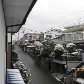 今冬一番の寒波に「雪景色」