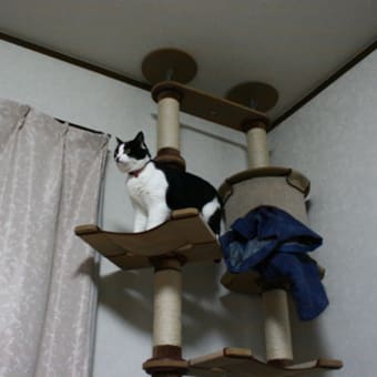 春を探しに！