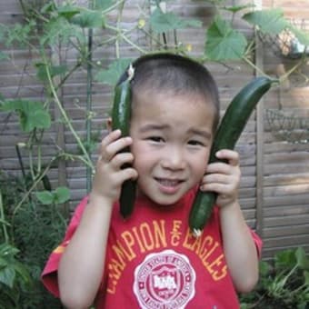野菜好き