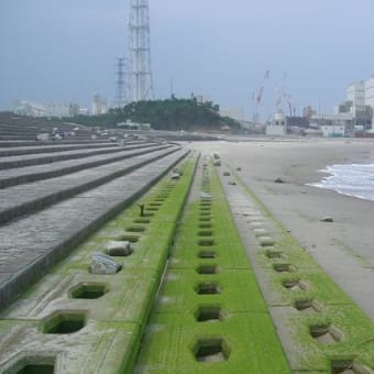 南相馬市ふるさと見聞録　　　平成２４年　８月１３日　夏…