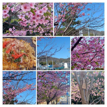 温品の河津桜見に行ってきました。