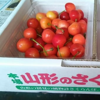 山形のサクランボ