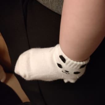 世界はパンダにあふれている　その１５　赤ちゃんのくつした