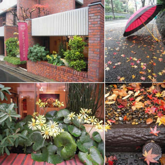 雨の土曜日　チベットアートをたずねて