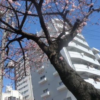 駅ちかウオーキング２０１８