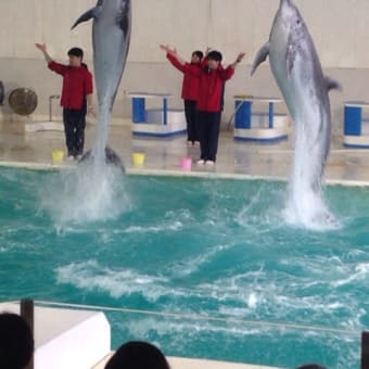 北海道は美味しくて楽しかった