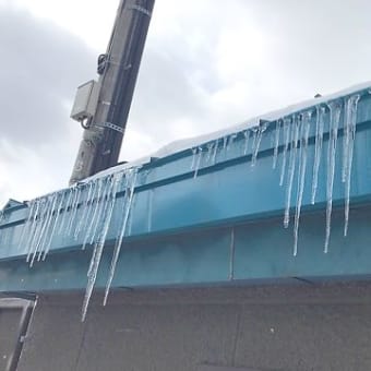 北海道で撮った写真