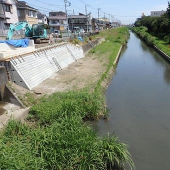 橋土台護岸の工事着々と（新河岸川・弁天橋）