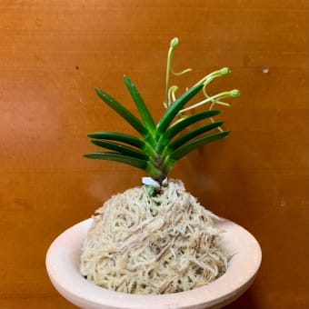 長門丸