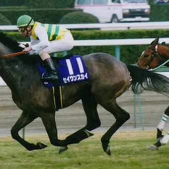 競馬エッセイ　遥か彼方の雲に