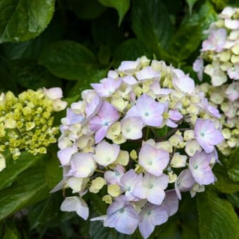 やっと終えた6月