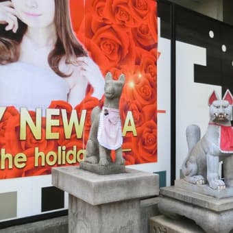 知人の写真展を観に行きました