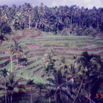 バリの旅（インドネシア）