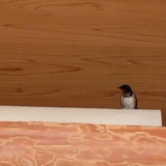 画像一覧 木の家は気持ちいい