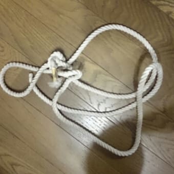 考えの末、首吊り用のロープは捨てる。